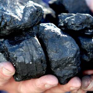COAL STOCK
